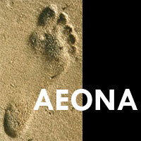 Aeona Logo